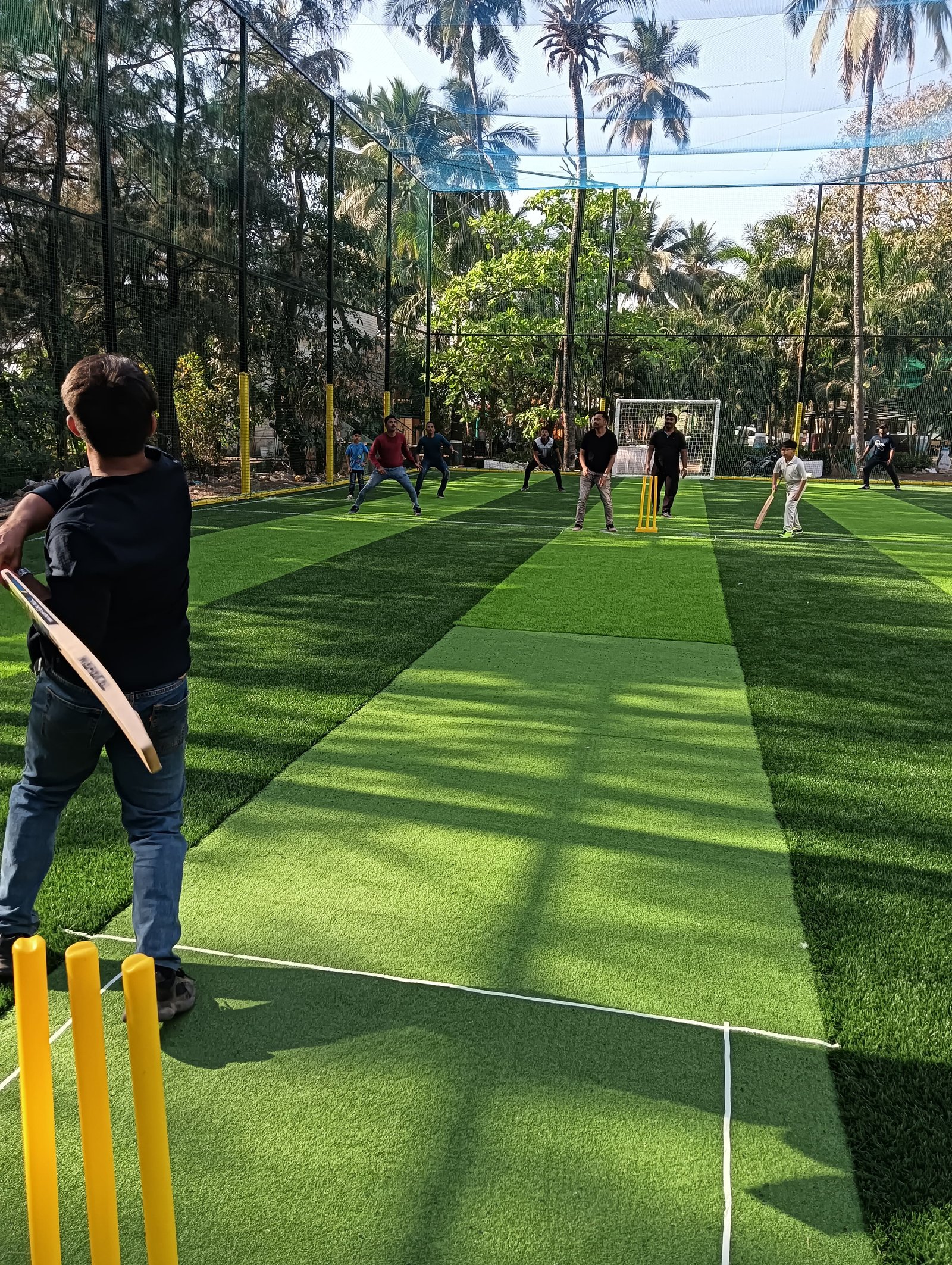 Cricket / Football Turf