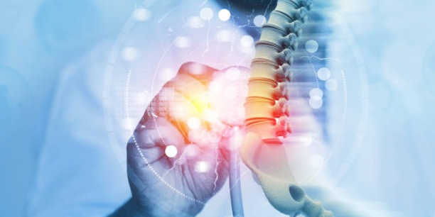 Dr. Sumit R. Vishwakarma